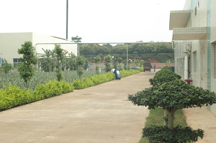 ����һ��