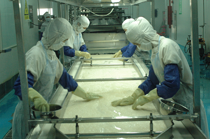 ��ѡ����